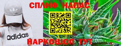 эйфоретик Донецк
