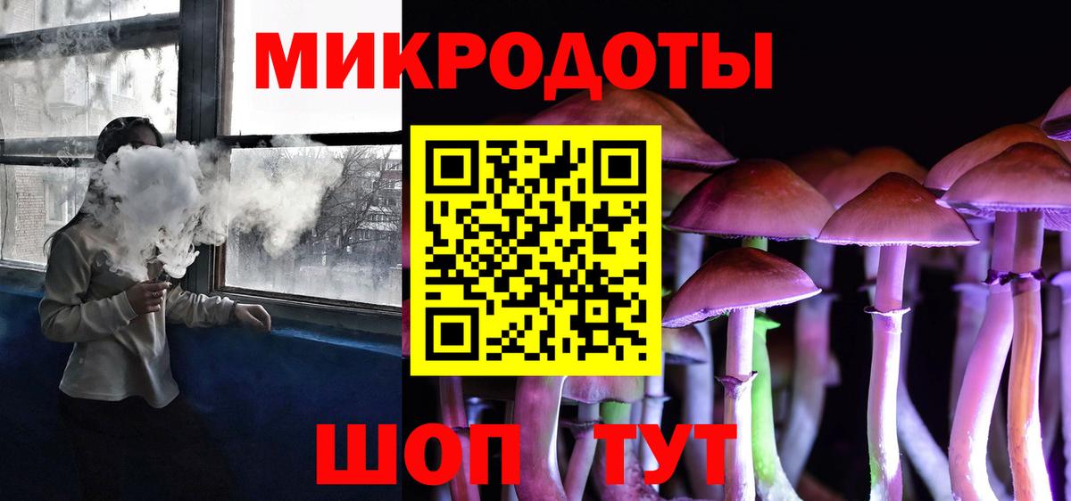 Псилоцибиновые грибы Cubensis Оренбург
